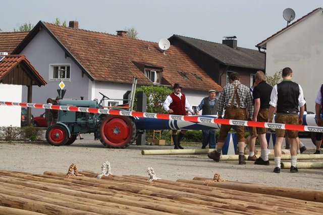 Maibaum 2013